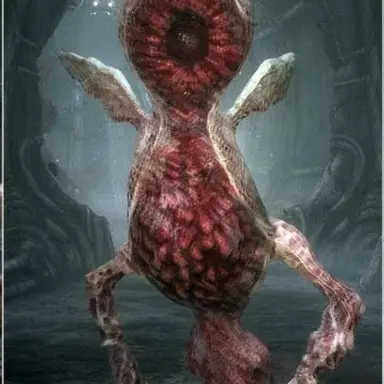 Profile image of Chicken