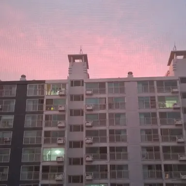 Profile image of 릴리