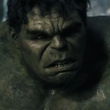 Profile image of The Hulk