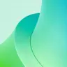 Profile image of 네짜흐