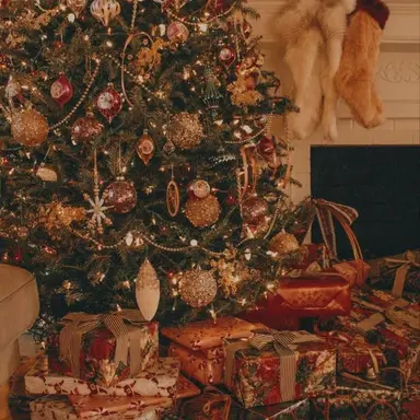 Profile image of 하루토