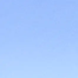 Profile image of 駿太