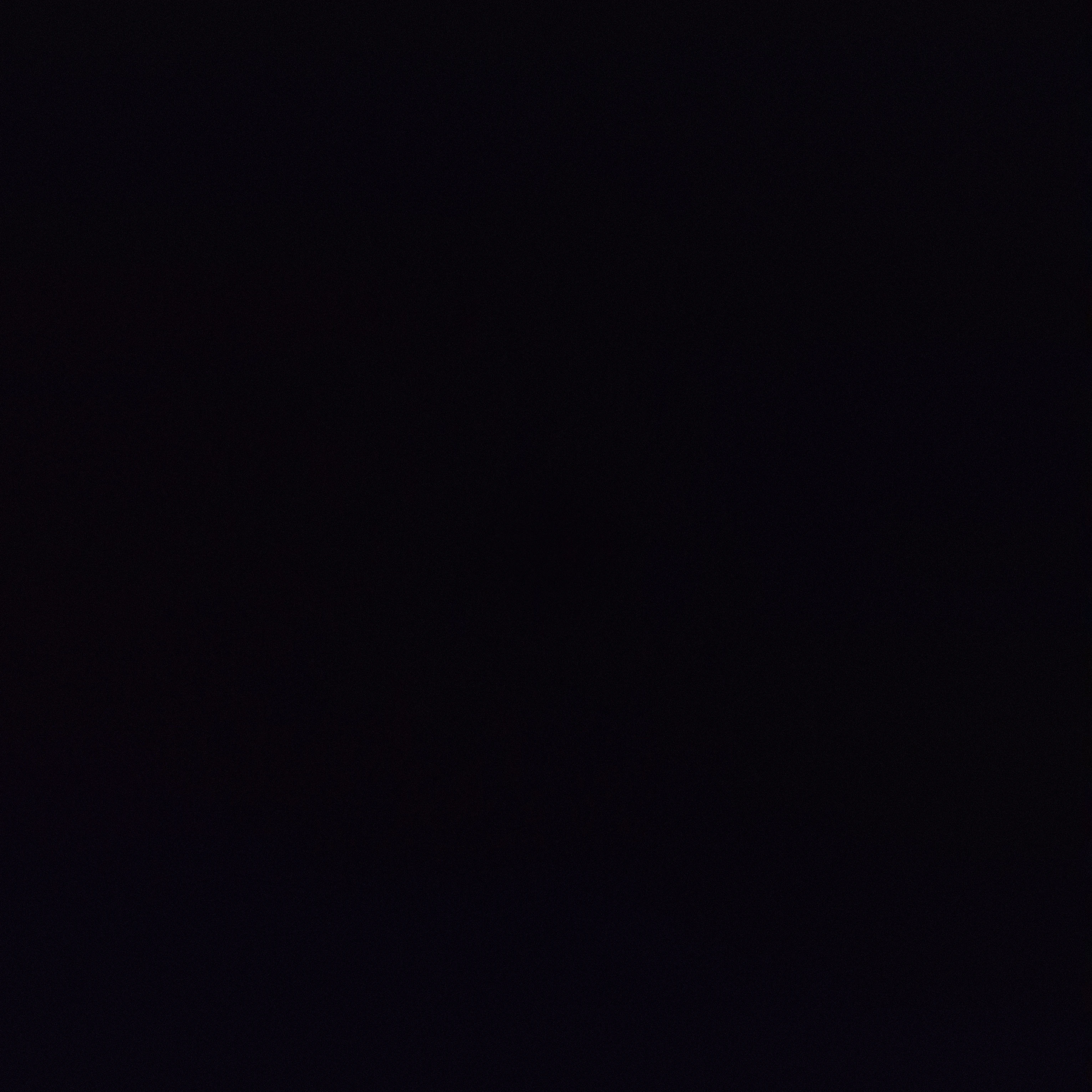 인물