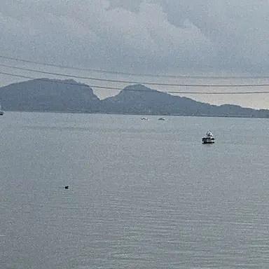 Profile image of 준브