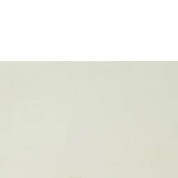 Profile image of 髙野清宗