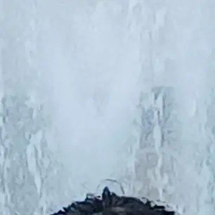 Profile image of 등급학교