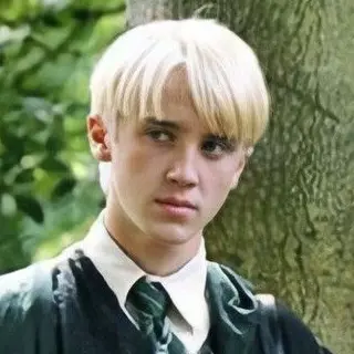 Profile image of Draco Malfoy