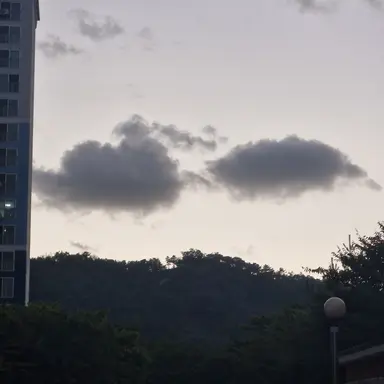 Profile image of 시청자