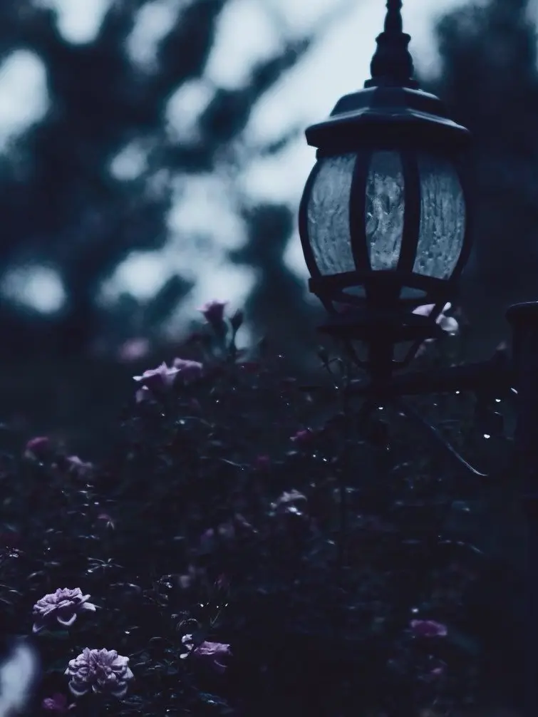 D_min의 Everything of Yours