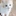 고양이
