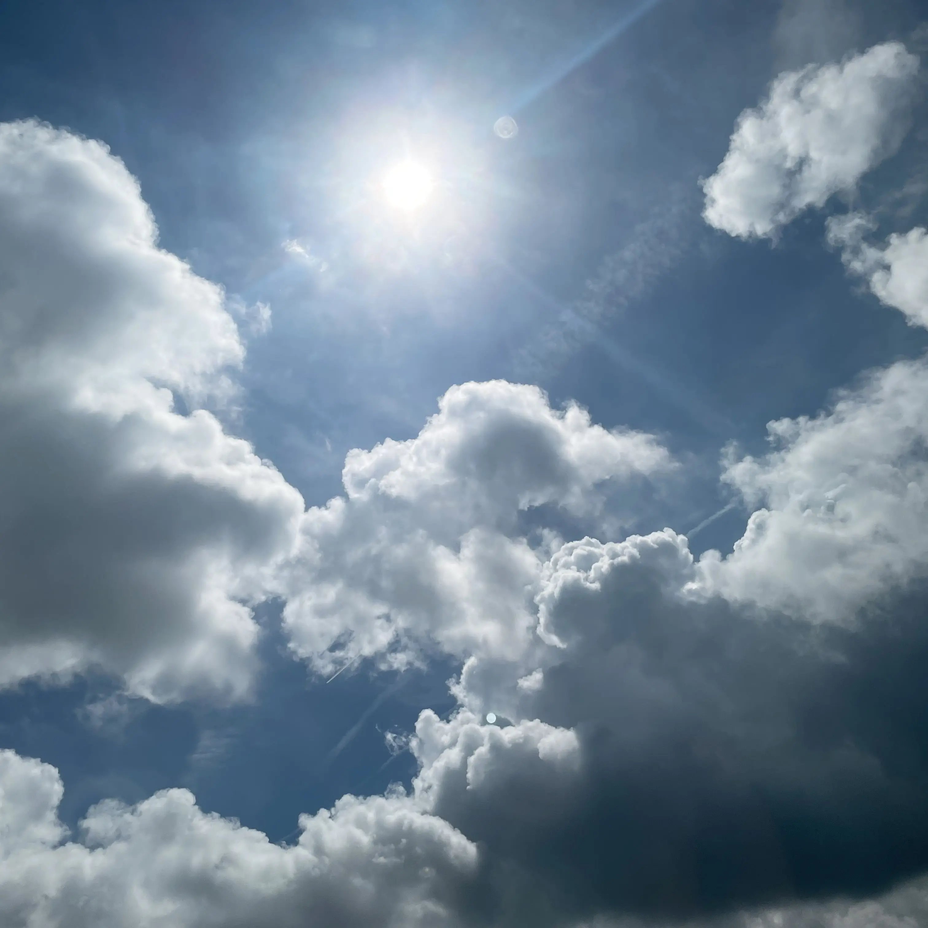 FolksyLung5132의 정공룡