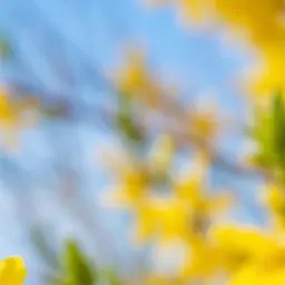 Profile image of 윤설지