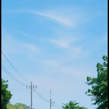 Profile image of 樹音