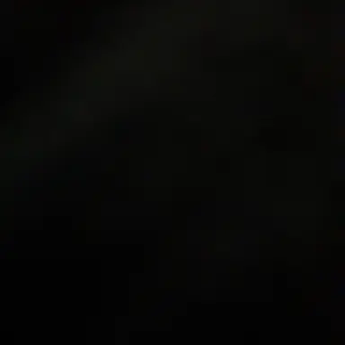 Profile image of 최종호