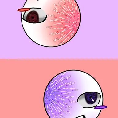 Profile image of F11-F22