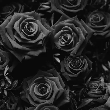 Profile image of 目黒蓮