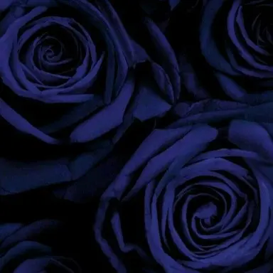 Profile image of 渡辺翔太