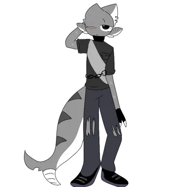 Profile image of 샤키르