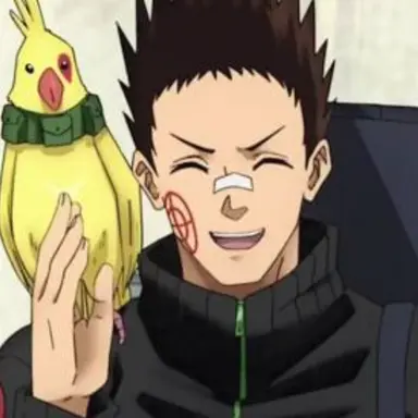 Profile image of Heisuke Mashimo