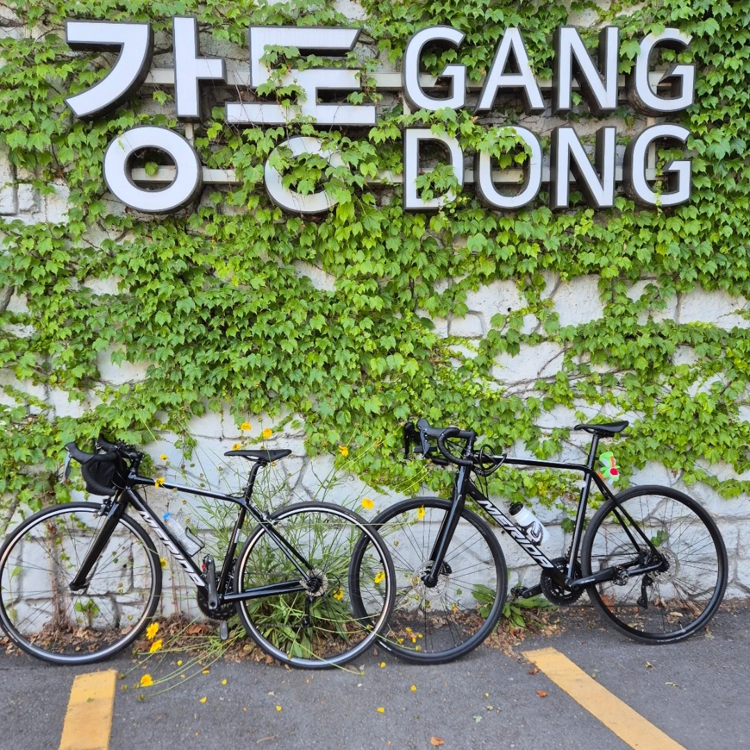최지후