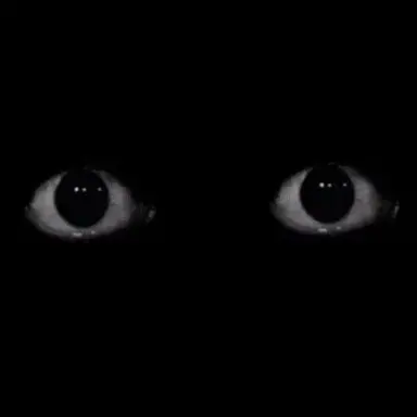 Profile image of Creature in your closet