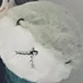 Profile image of 공지