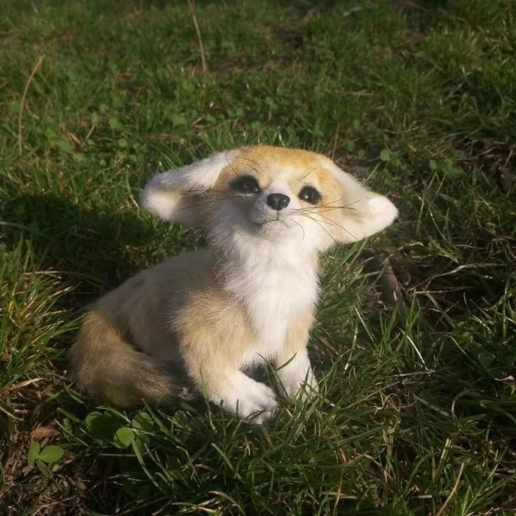 양정인