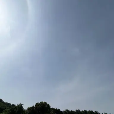 Profile image of 그것