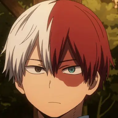 Profile image of Todoroki