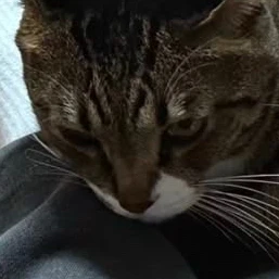 이민호