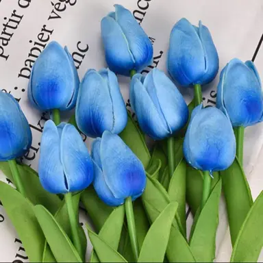 Profile image of 慧