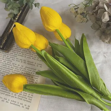 Profile image of 光