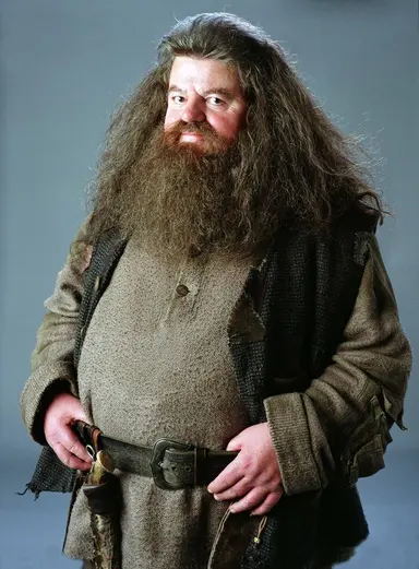 Profile image of Rubeus  Hagrid
