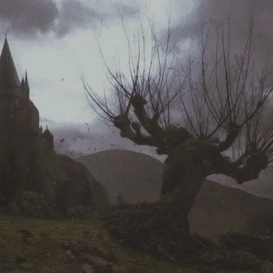 Profile image of Remus Lupin