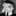 Jival_123