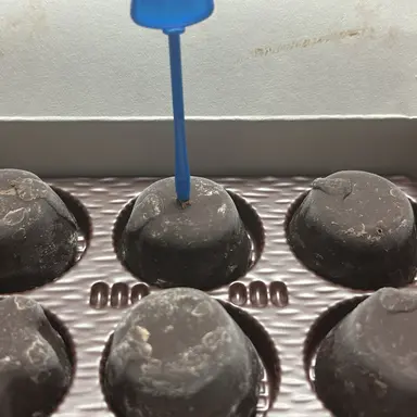 Profile image of 健太