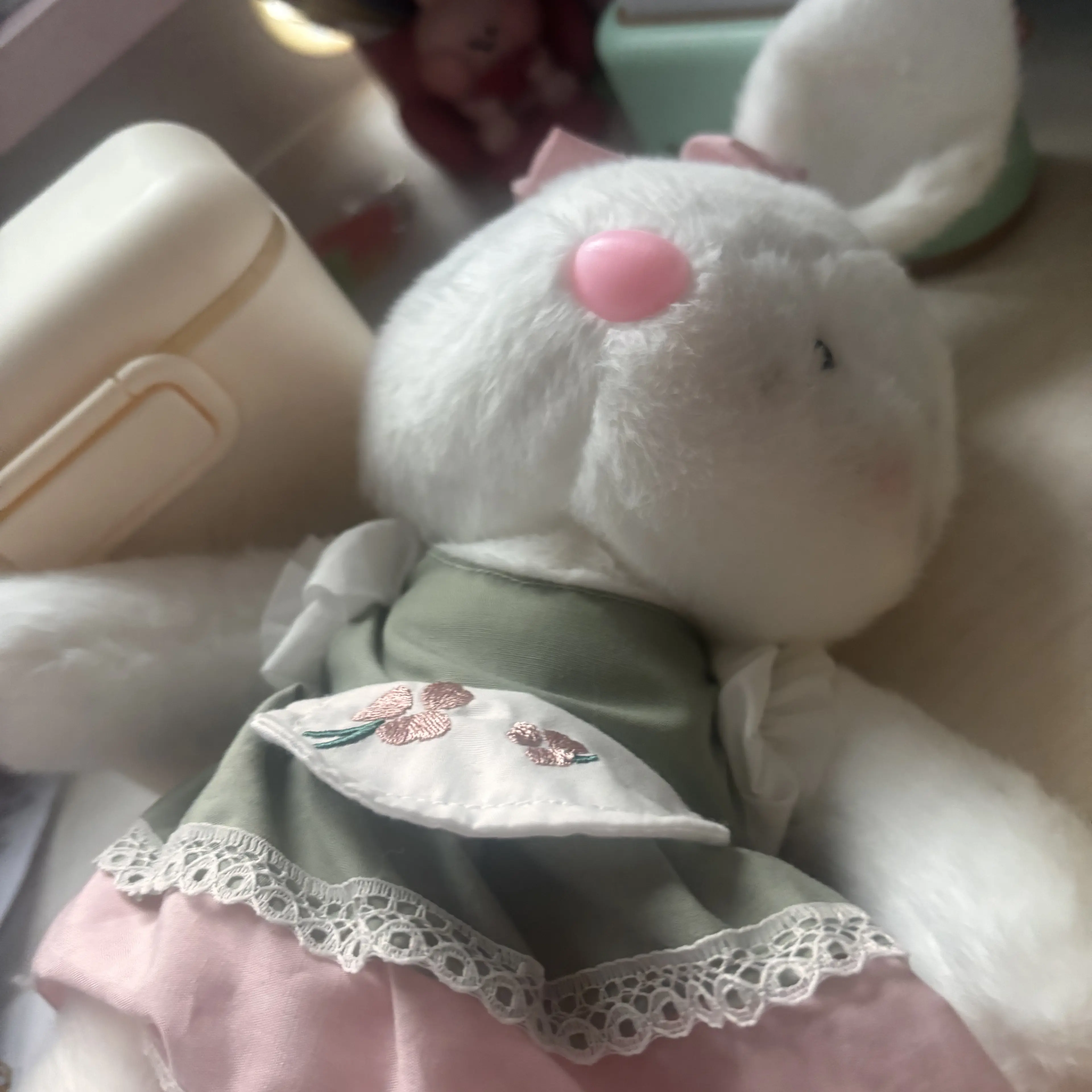 MiniChime2938의 버려잔 고양이