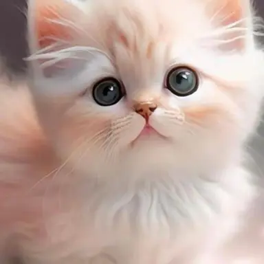 Profile image of 각별