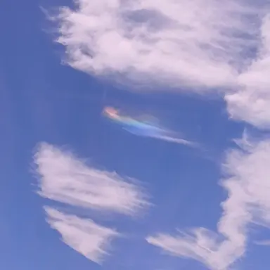 Profile image of 제미니