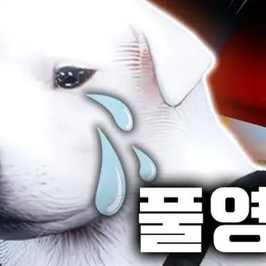 Profile image of 말복씨