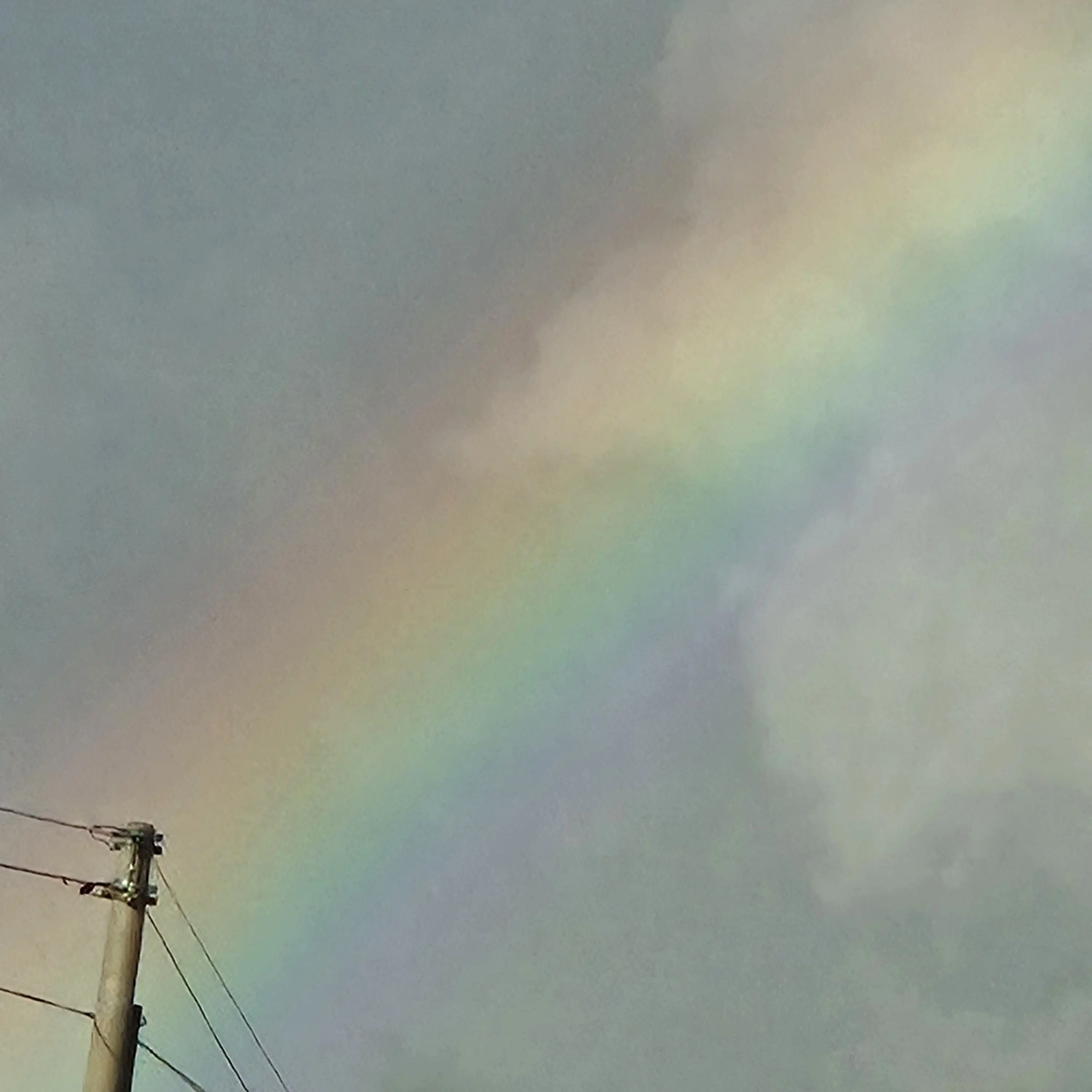 SicklyStage8925의 실험체 친구 이경민