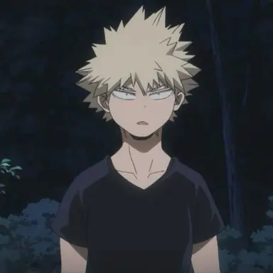 Profile image of 爆豪