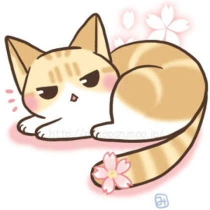 꽁이