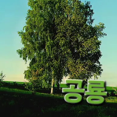 Profile image of 공룡
