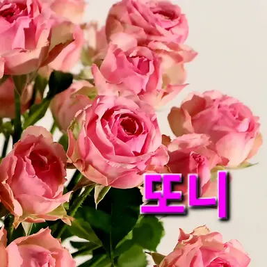 Profile image of 또니