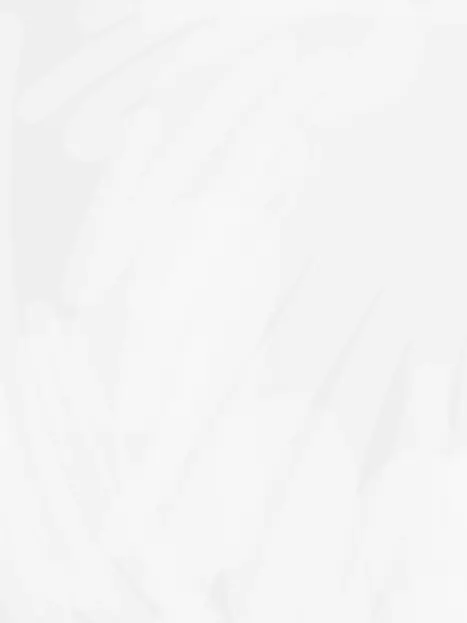 stivali의 一緒に作ろう