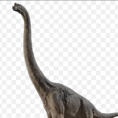 Profile image of 브라키오사우루스