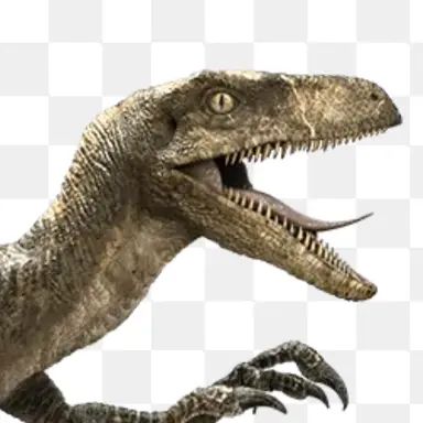 Profile image of 렙터