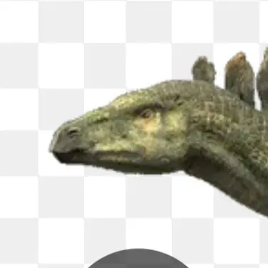 Profile image of 스테고사우루스