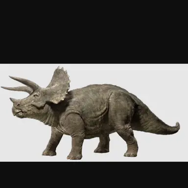 Profile image of 트리케톱스